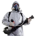 rat pest control london